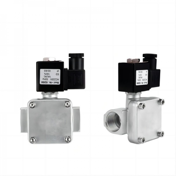 Stainlsess Steel High Pressure 1.6Mpa Solenoid Valve 220V 12V 24V Normally Closed Solenoid Valve