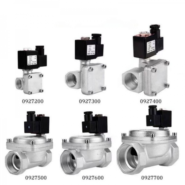 Stainlsess Steel High Pressure 1.6Mpa Solenoid Valve 220V 12V 24V Normally Closed Solenoid Valve