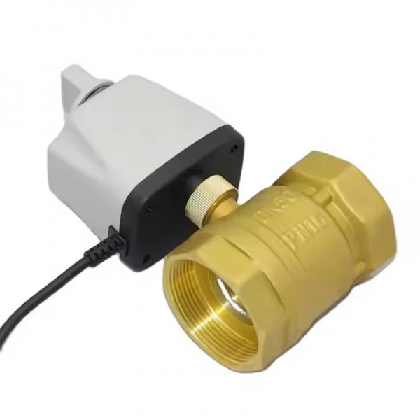 Normally Closed Motorized Ball Valve 220V 12V 24V 2-Wire Brass Electric Ball Valve Witch Switch