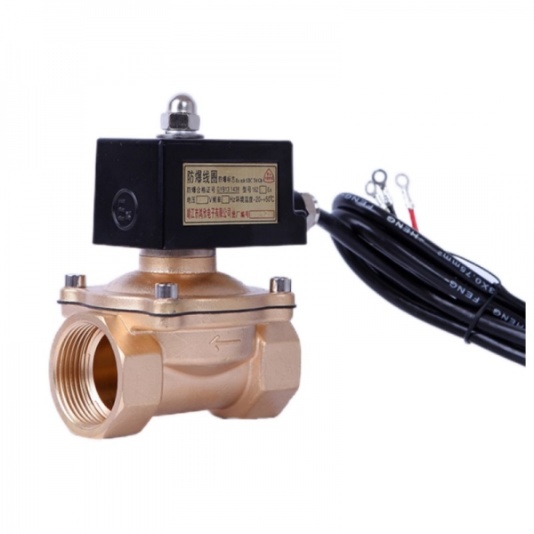 Explosion Proof Brass Solenoid Valve 220V 24V Normally Closed Lpg Gas Solenoid Valve