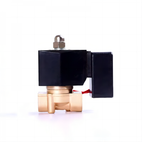 Saving Energy Non Hot Water Solenoid Valve 24v 12v Brass Normally Closed for Long Time Working