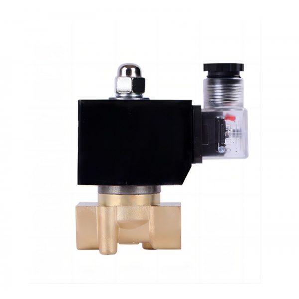 Waterproof Normally Closed Brass Solenoid Valve 220VAC 110VAC 24VDC 12VDC 24VAC Direct Acting For Water Gas Oil