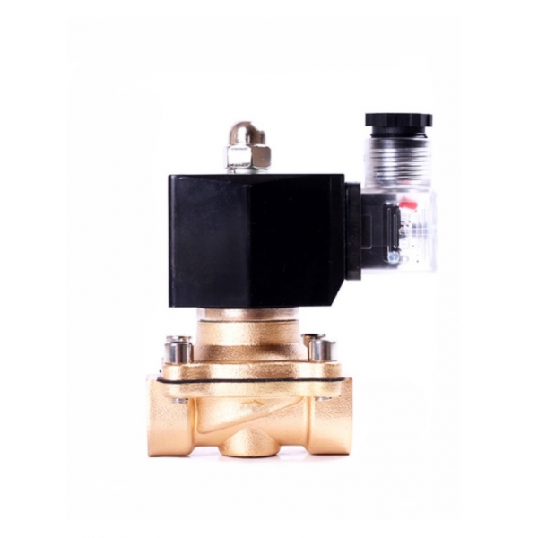 Waterproof Normally Closed Brass Solenoid Valve 220VAC 110VAC 24VDC 12VDC 24VAC Direct Acting For Water Gas Oil