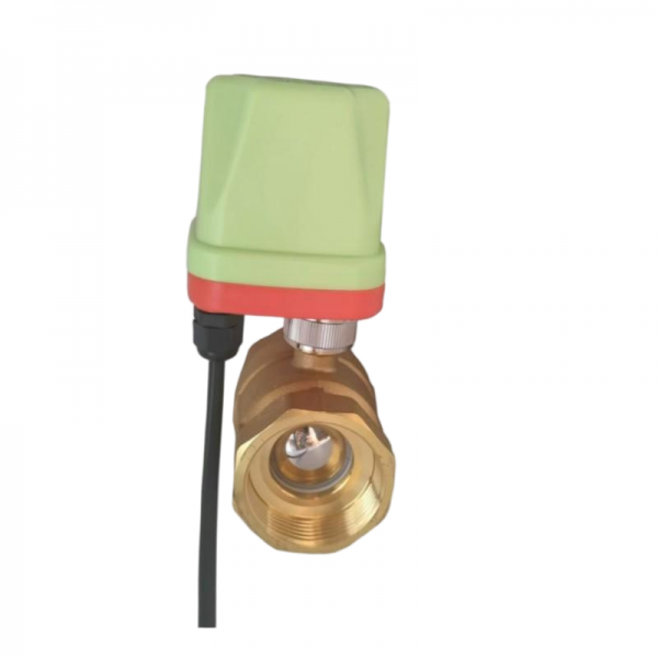 2 Way IP65 Waterproof Motorized Ball Valve 220V 12V 24V Brass Electric Ball Valve