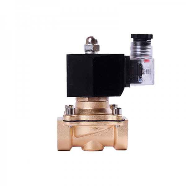 Waterproof Normally Closed Brass Solenoid Valve 220VAC 110VAC 24VDC 12VDC 24VAC Direct Acting For Water Gas Oil