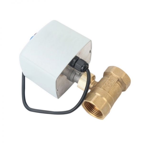 Two Way Brass Motorized Ball Valve 220V 12V 24V Three Wire Two Control Electric Ball Valve