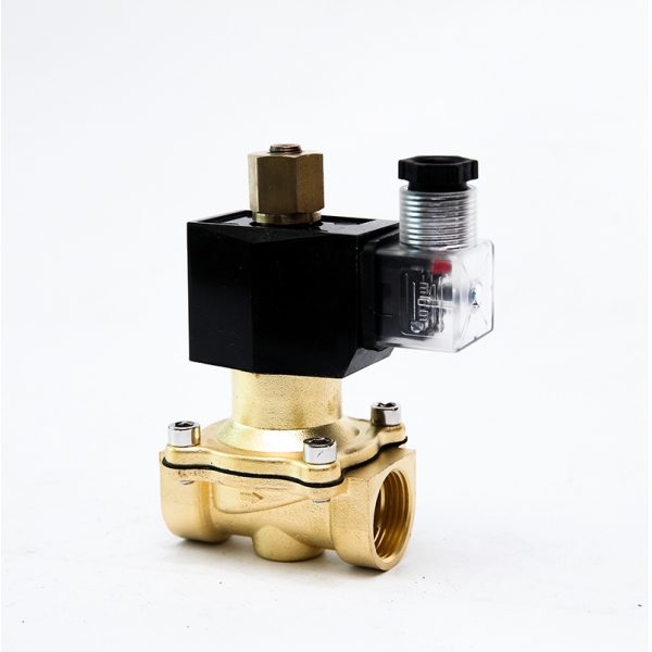 Normally Open Solenoid Valve Brass 2 Way Electric Water Valve 220VAC 24VDC 12VDC 24VAC 110VAC 