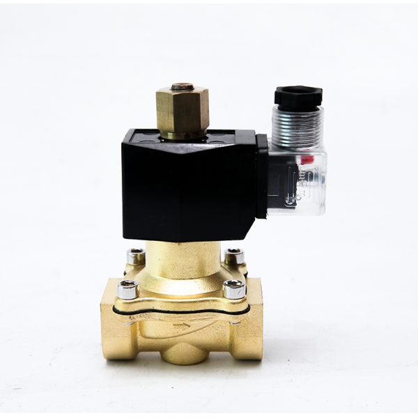 Normally Open Solenoid Valve Brass 2 Way Electric Water Valve 220VAC 24VDC 12VDC 24VAC 110VAC 