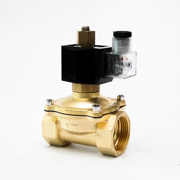 Normally Open Solenoid Valve Brass 2 Way Electric Water Valve 220VAC 24VDC 12VDC 24VAC 110VAC 