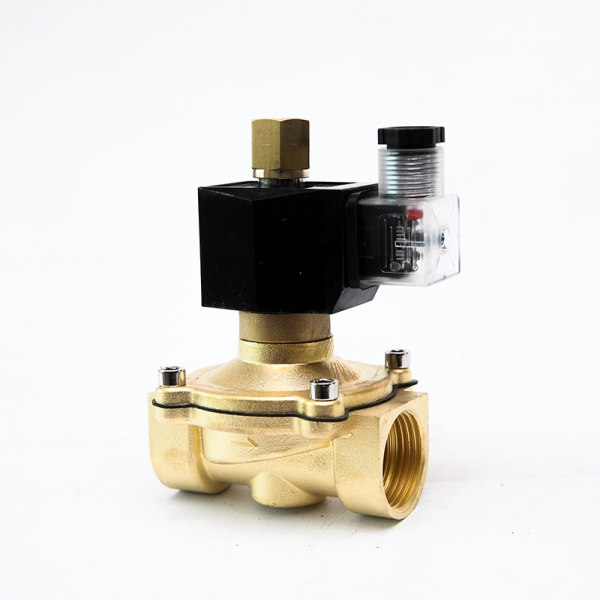 Normally Open Solenoid Valve Brass 2 Way Electric Water Valve 220VAC 24VDC 12VDC 24VAC 110VAC 