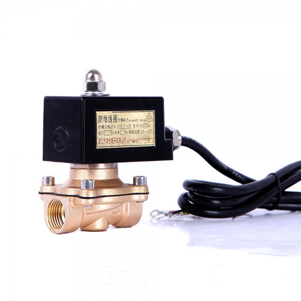 Explosion Proof Brass Normally Closed Lpg Gas Solenoid Valve 24v 12v 