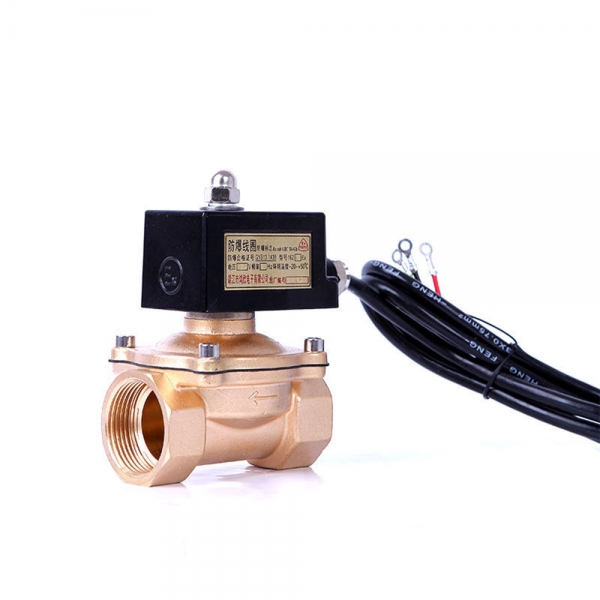 Explosion Proof Brass Normally Closed Lpg Gas Solenoid Valve 24v 12v 