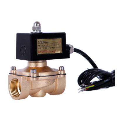 Explosion Proof Brass Solenoid Valve 220V 24V Normally Closed Lpg Gas Solenoid Valve