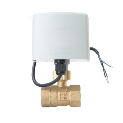 Two Way Brass Motorized Ball Valve 220V 12V ...